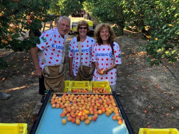 CUEILLETTE BOUGARIU 2021-01